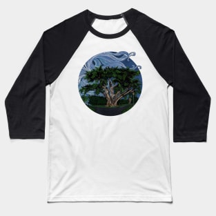 Doghill Tree, Alamo Sq. Park, SF in color ink Baseball T-Shirt